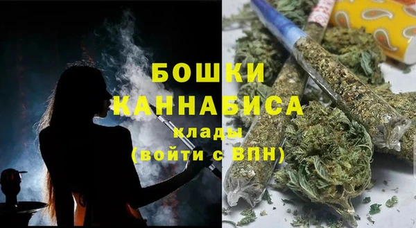 прущие грибы Рославль